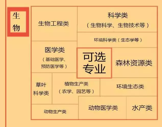 根據特長選專業，高中各門課程對應大學專業實用盤點，志愿填報的你不可錯過！