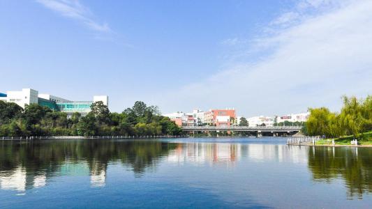 南昌大學2019各省投檔分數(shù)線