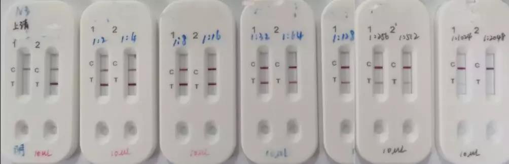 1滴血，15分鐘出結(jié)果，鐘南山院士指導研發(fā)快速檢測試劑盒